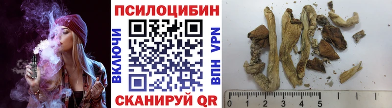 купить закладку  Котовск  Псилоцибиновые грибы прущие грибы 