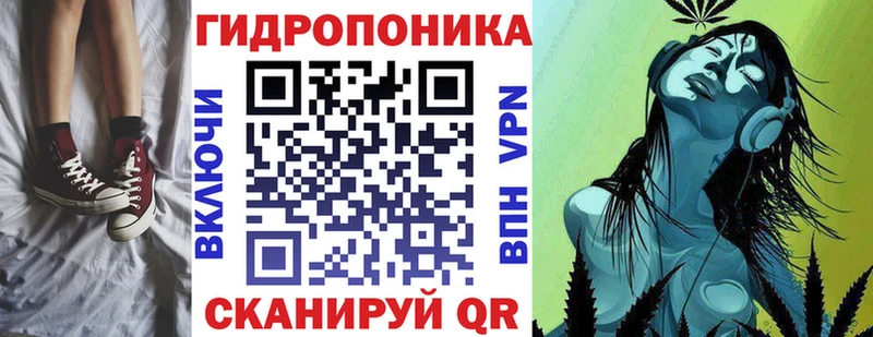 Конопля план  МЕГА ONION  Котовск 